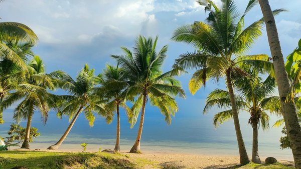 Bordeaux : guide pratique pour une visite sans stress